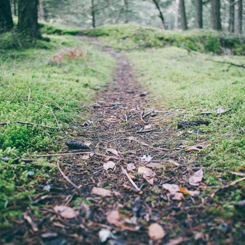 Abstract golden 3D fluid design